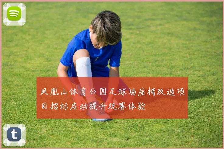 凤凰山体育公园足球场座椅改造项目招标启动提升观赛体验