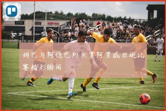 姆巴与阿德巴约共赏阿贾威尔逊比赛精彩瞬间