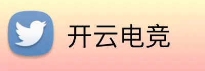 开云电竞 Logo
